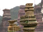 三峡奇石