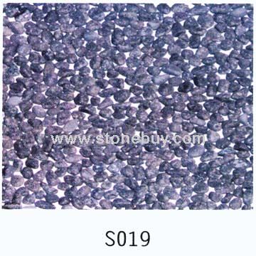 S019