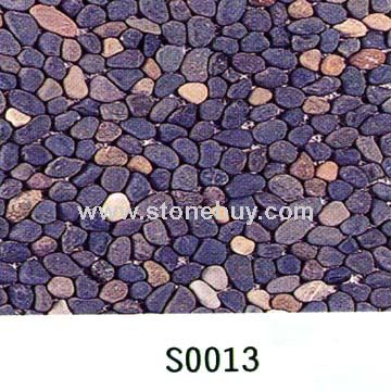 S0013