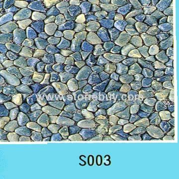 S003