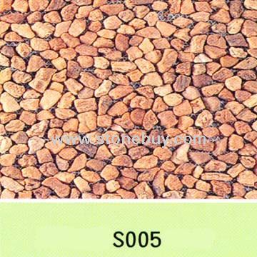 S005
