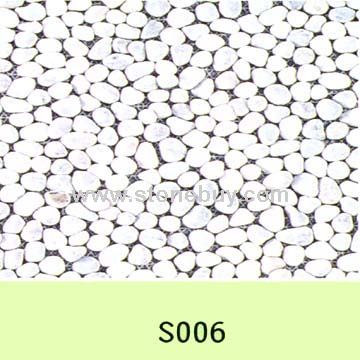 S006