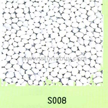 S008
