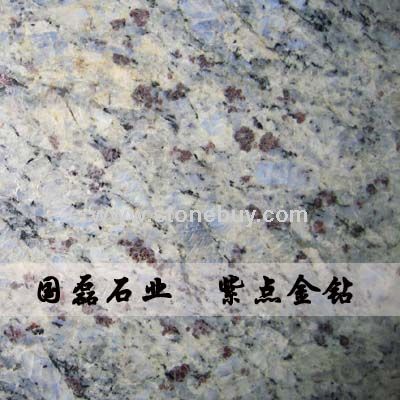 紫点金钻