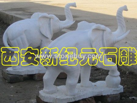 象