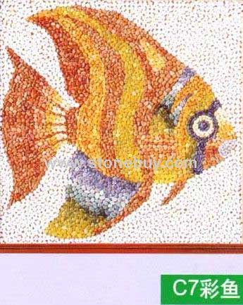 C7彩魚(yú)