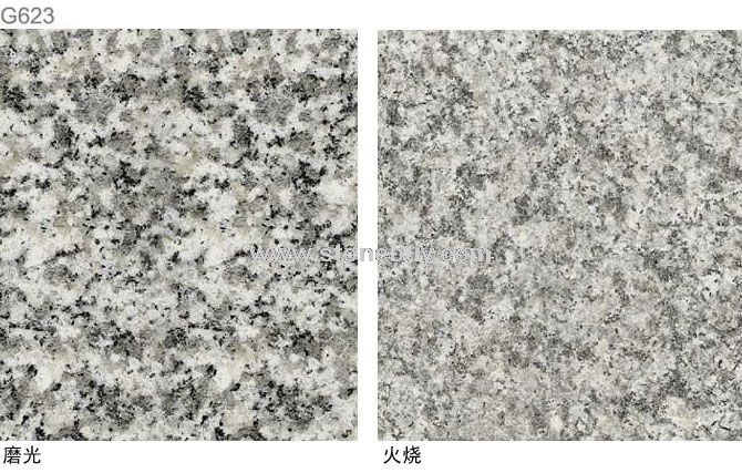 G623