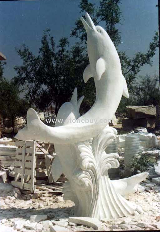 海豚