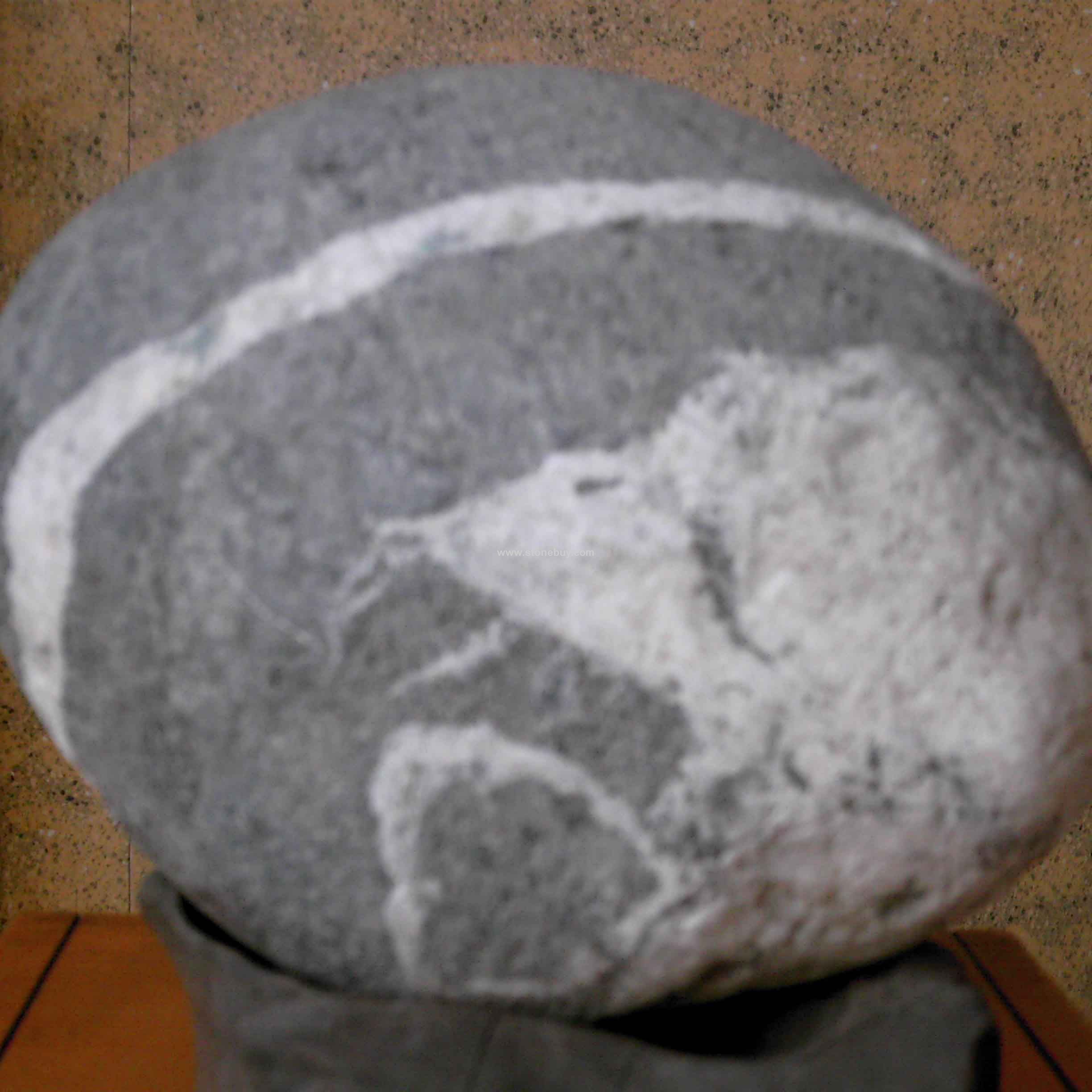 夢(mèng)想天鼠