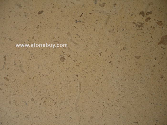 Limestone 灰岩
