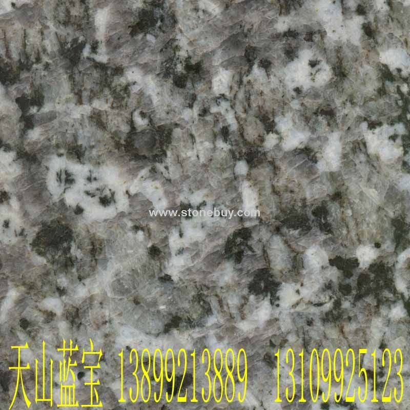 天山(shan)蘭寶(bao)