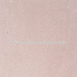 IGP001