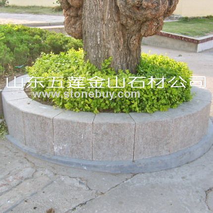 五蓮紅，樹邊石