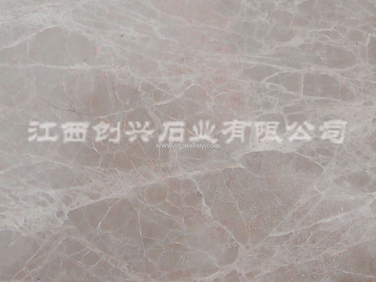 浅啡网