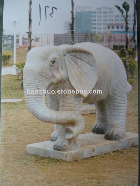 動物大象