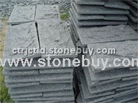 Ｇ６５４蘑菇面