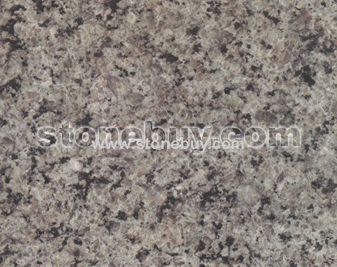 攀西兰(蓝)(G5142)