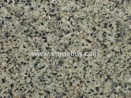 中国绿2号（中花）