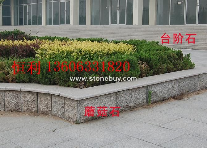 五蓮花蘑菇石