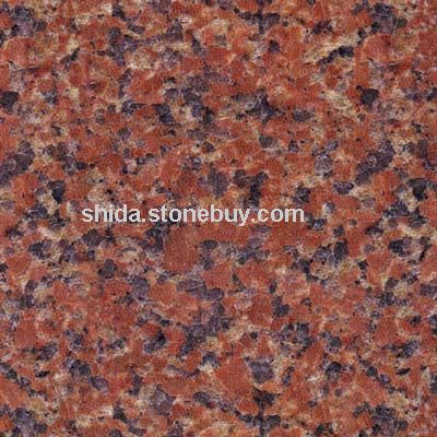 石岛红新8号G386