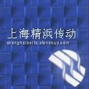 石材機(jī)械輸送帶