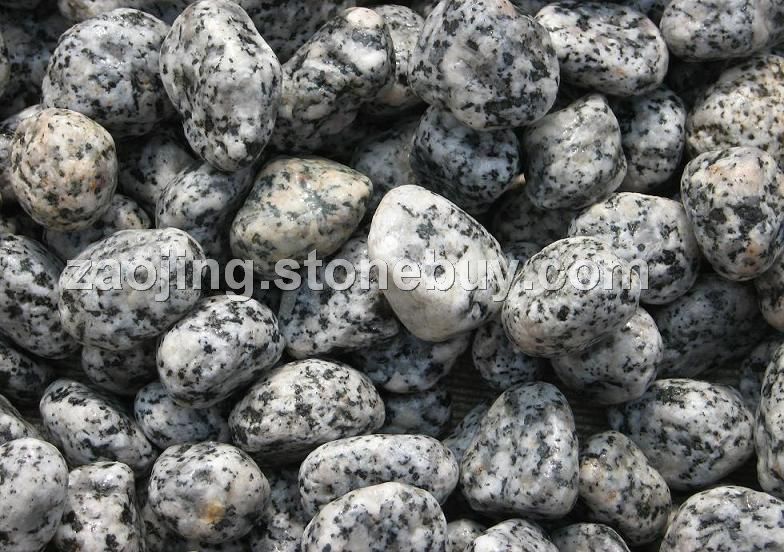 黑白花(￠15-20)
