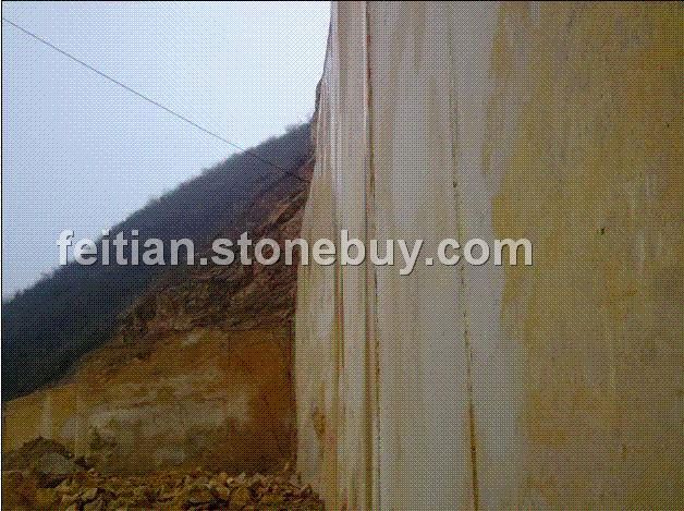 黄金桂