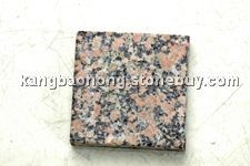 康保红（智利红麻）