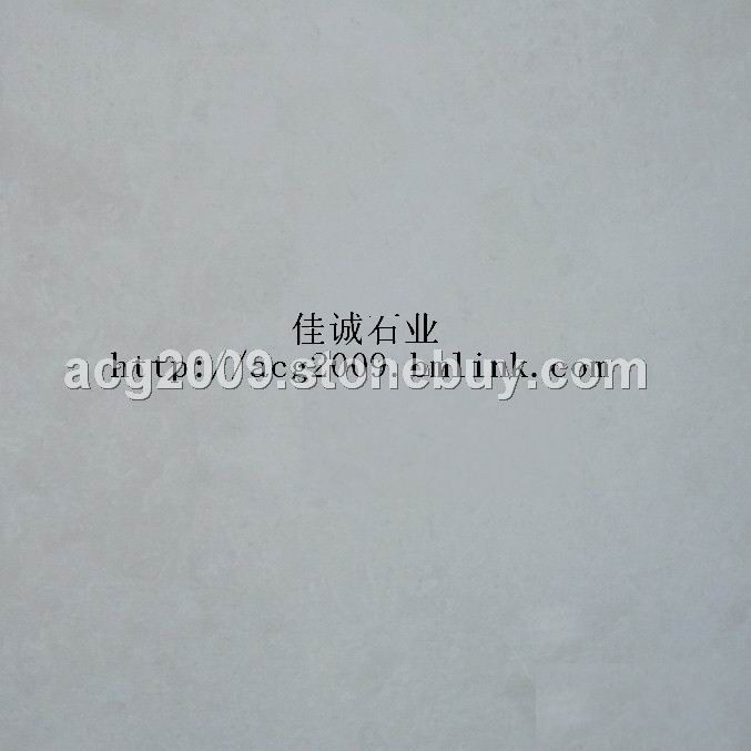 大量批发白玉兰