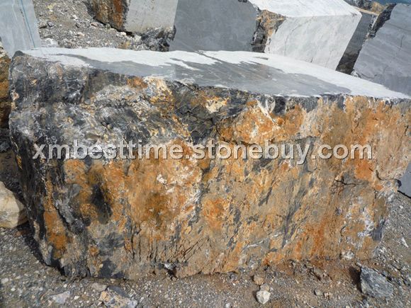 意大利黑金花荒料