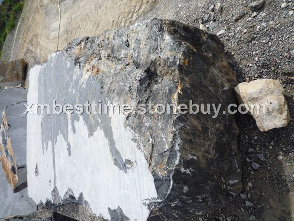 意大利黑金花荒料