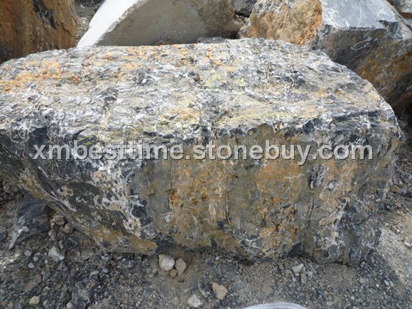 意大利黑金花荒料