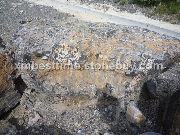 意大利黑金花荒料