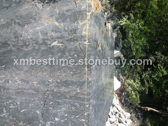 意大利黑金花荒料&amp;nbsp;