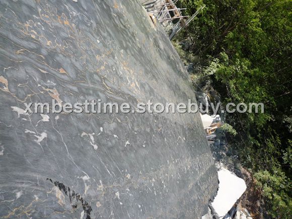 意大利黑金花荒料&amp;nbsp;