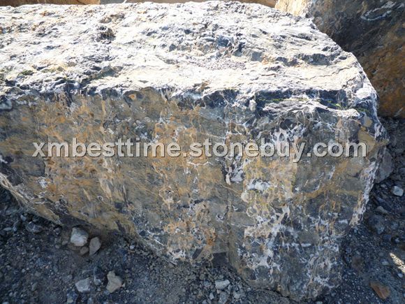 意大利黑金花荒料&amp;nbsp;