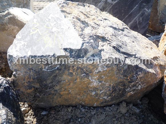 意大利黑金花荒料&amp;nbsp;