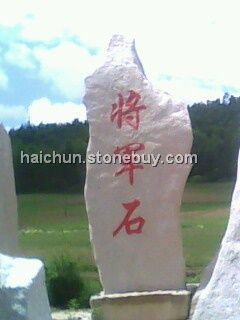 風(fēng)景石
