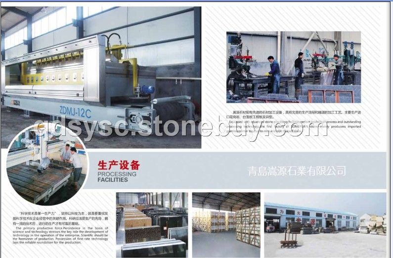 嵩源生產(chǎn)設(shè)備&amp;nbsp;