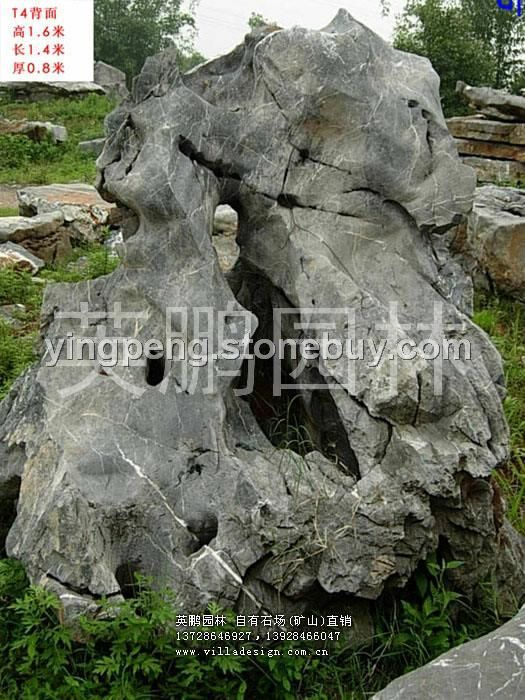 上海優(yōu)質(zhì)太湖石,園林景觀石,假山石-直銷
