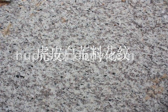 虎皮白