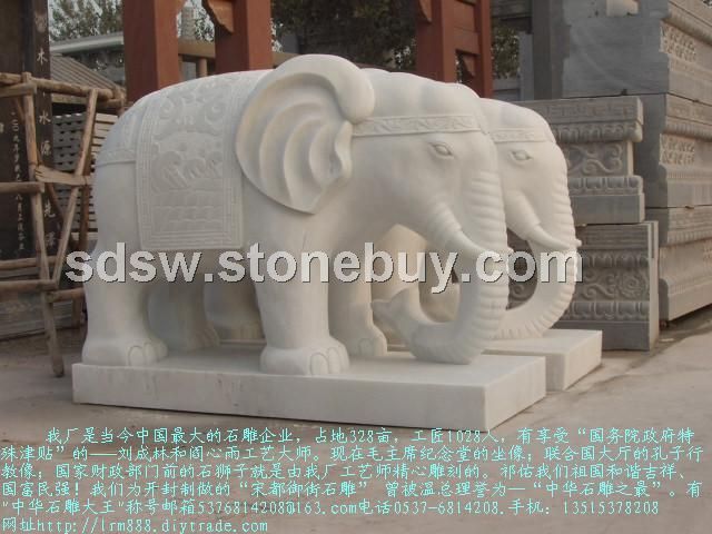 石雕象汉白玉石象，石雕大象，盛世有象等各种造型石雕大象，石雕动物
