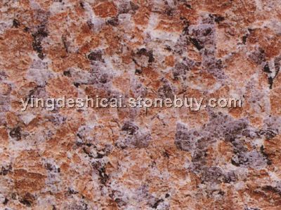 石岛红老8号火烧