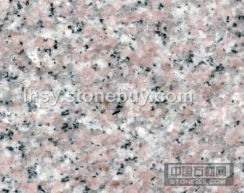 安溪紅635#（天津）