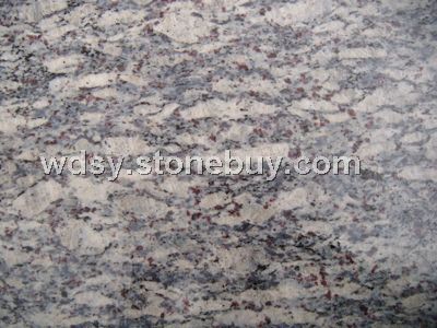 紫點藍鉆&amp;nbsp;