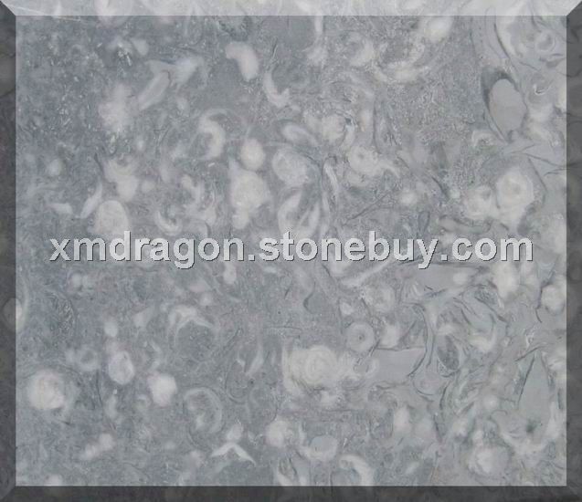 灰玉珊瑚Gray Jade Coral