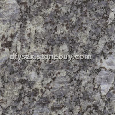 大漠藍(lán)（大花）