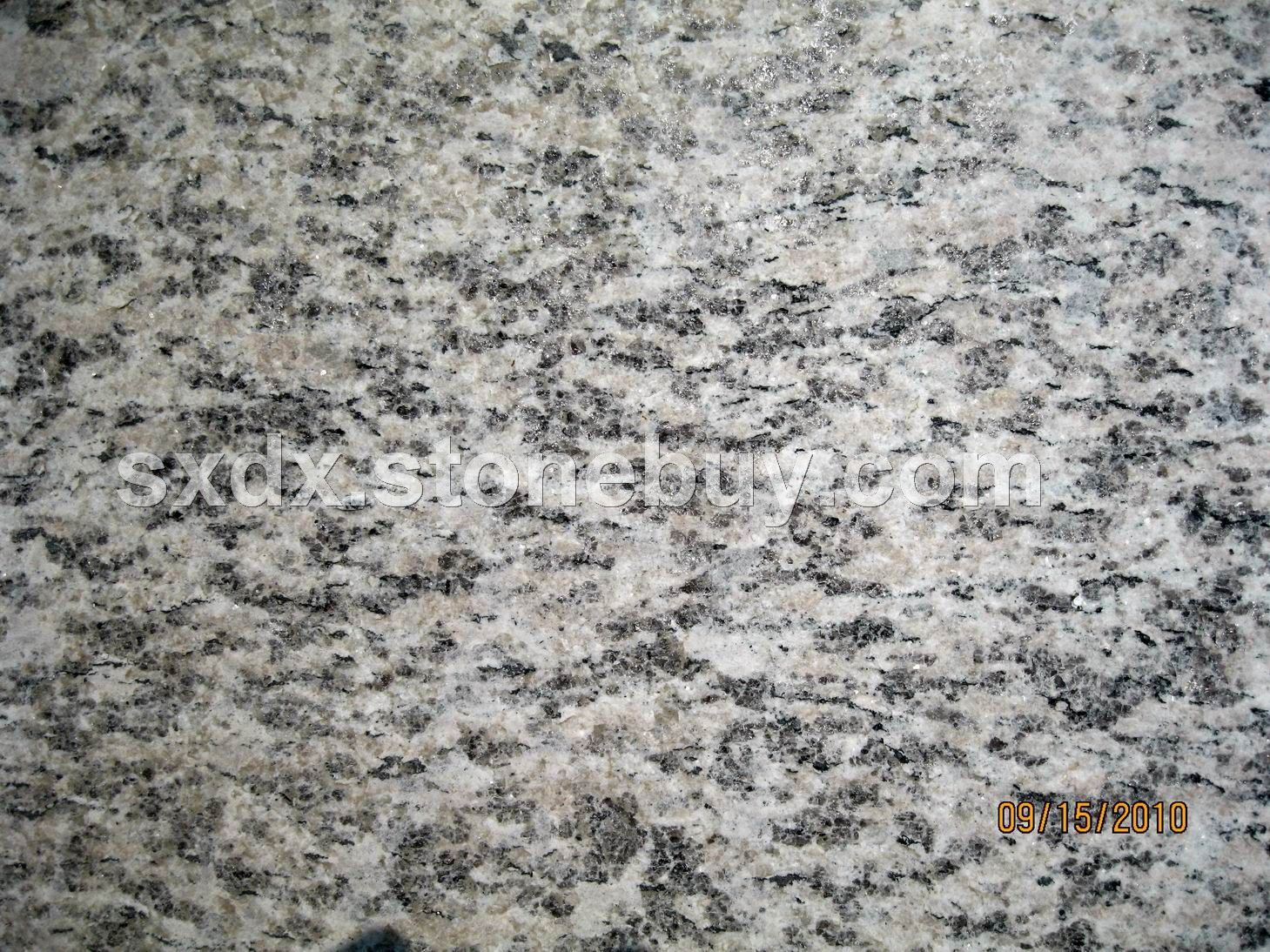 G889 龙海虎皮白 火烧面