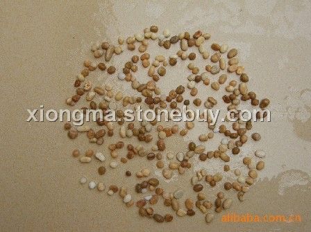 水洗石 水晶米黄