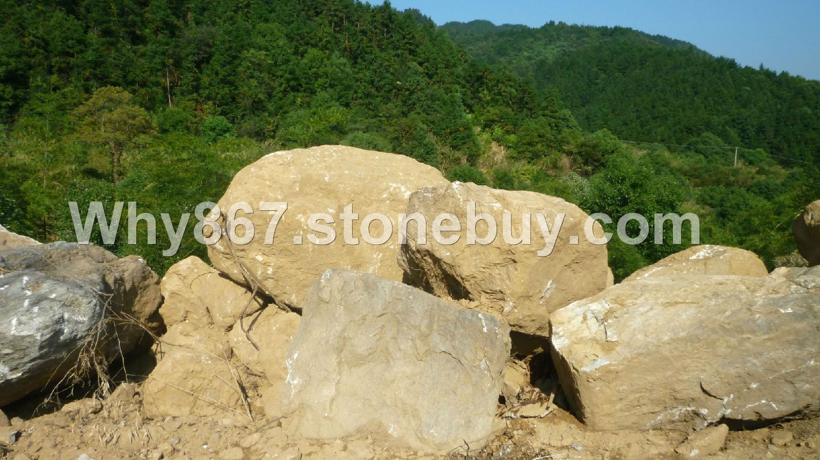 供应庐山冰川景观石